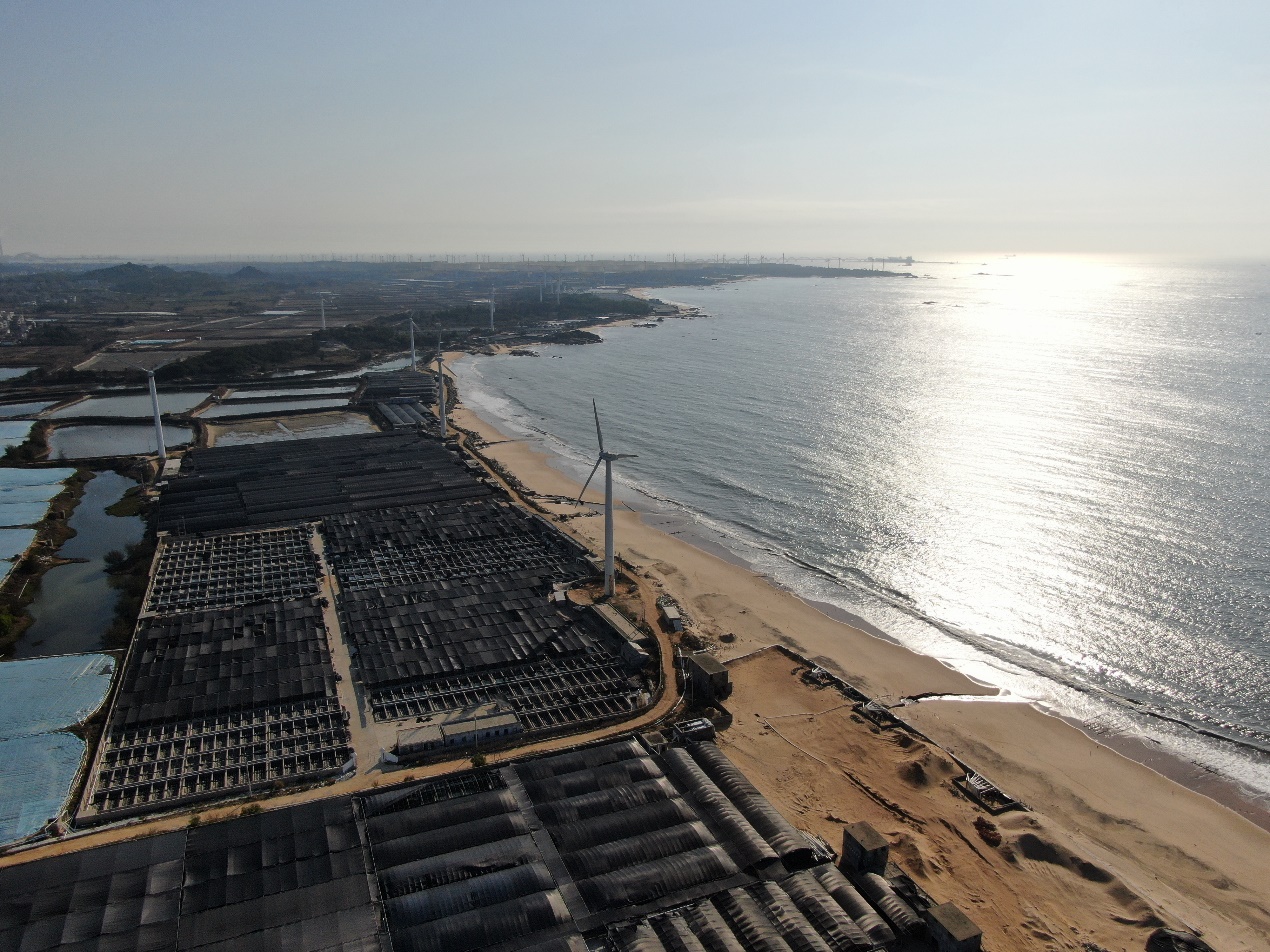 一業「鮑」富 ：從海濱到舌尖的「突圍」