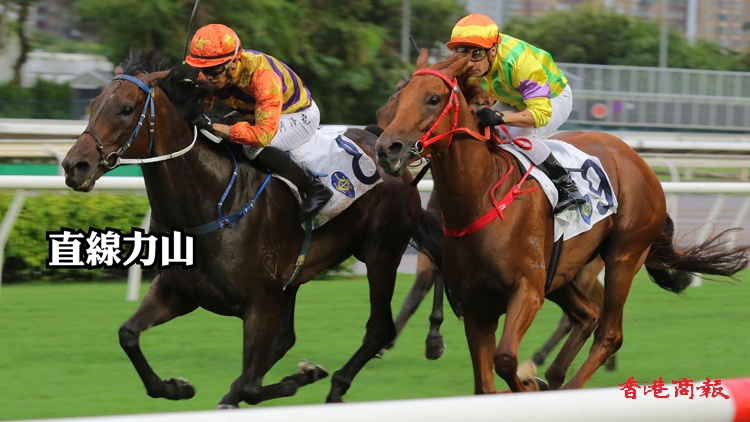 有片 | 金馳捧走香港潮州商會百周年紀念盃 直線力山贏出皇太后紀念盃