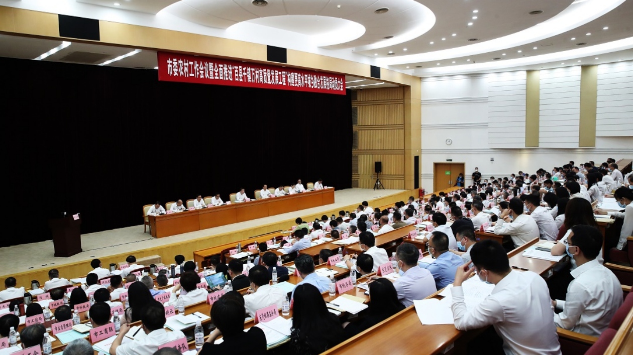 肖亞非：激活鎮村發展潛力 再造一個新東莞