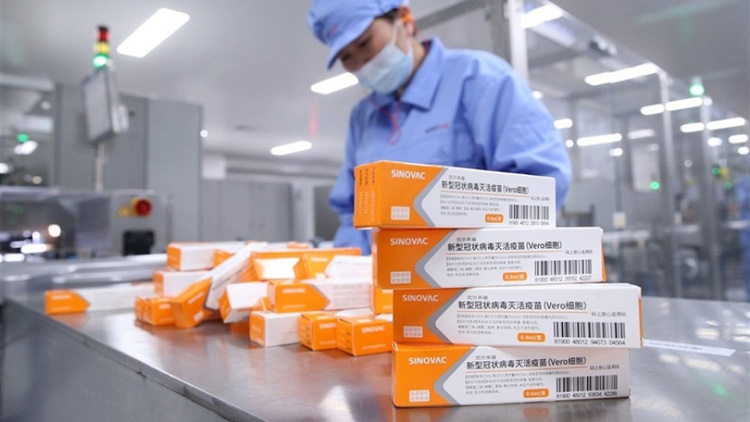 科興：將向本港兒童免費供數千劑疫苗加強針