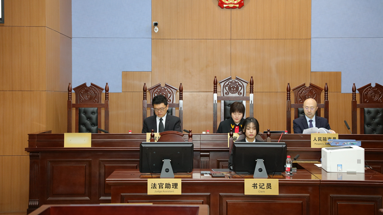 香港專家研究員習超：為大灣區高質量融合發展「燙平皺褶」