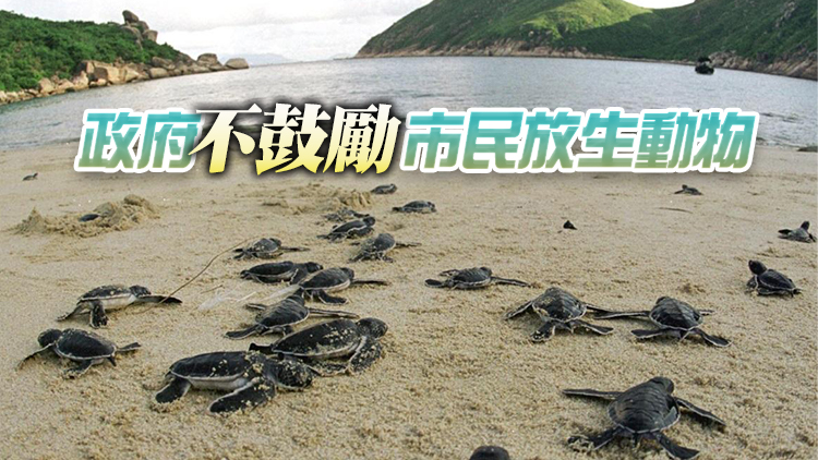 不當放生動物會對本地生態造成負面影響 漁護署籲市民謹慎思量