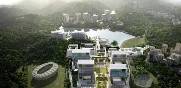 港中大（深圳）醫院明年門診試業 駱文智率隊到醫院開展專項督導工作