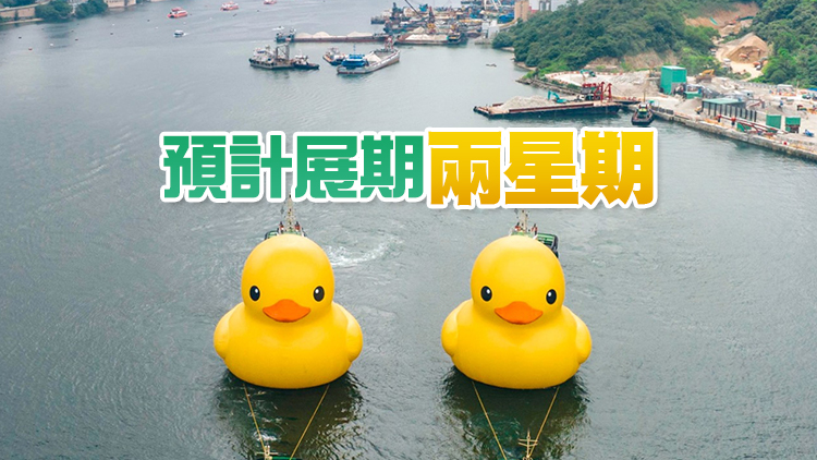 多圖丨橡皮鴨二重暢6·10開放 將停駐維港金鐘段海面