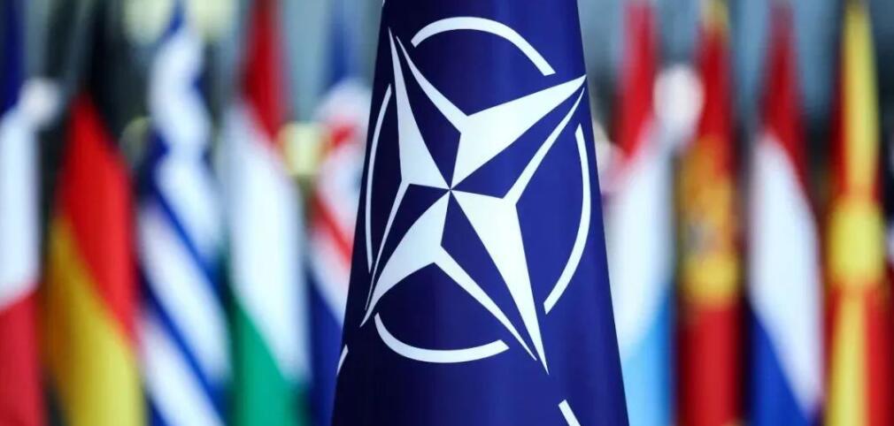 德總理：烏克蘭迅速加入北約「希望渺茫」