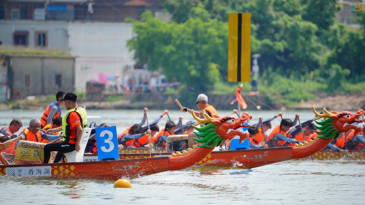 大灣區41支龍舟隊競渡珠海斗門黃楊河