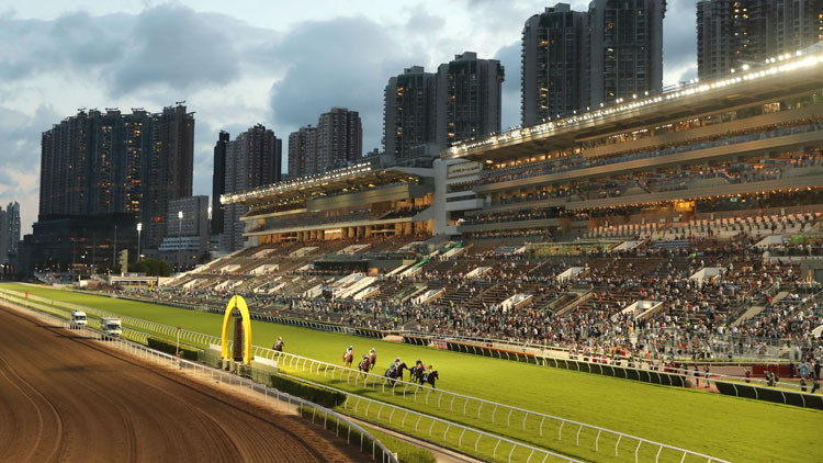 馬會：黃昏賽事順利舉行 全方位降溫保障人馬安全