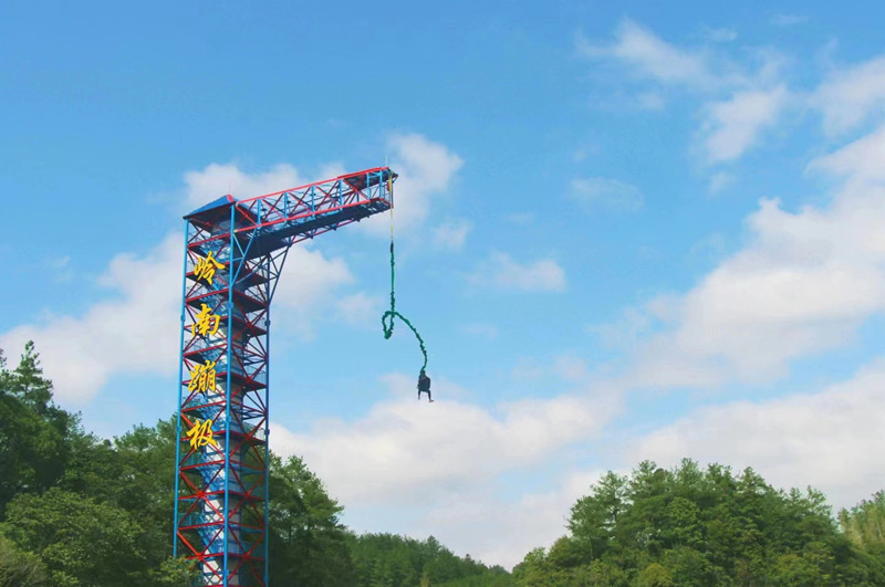 皖休寧縣：人才「密匙」激活振興「引擎」