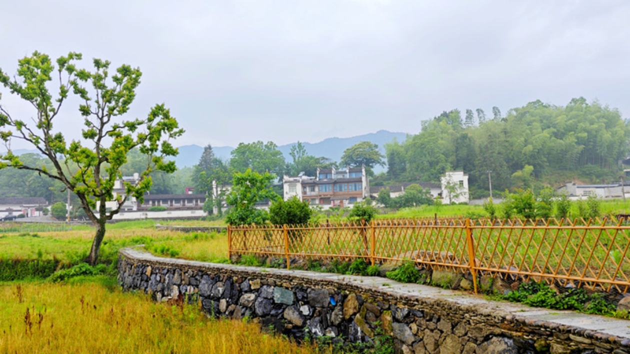 皖黟縣宏村鎮：生態籬笆增色畫裡人家