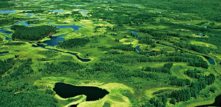 對接大灣區 「寒地龍藥」耀神州