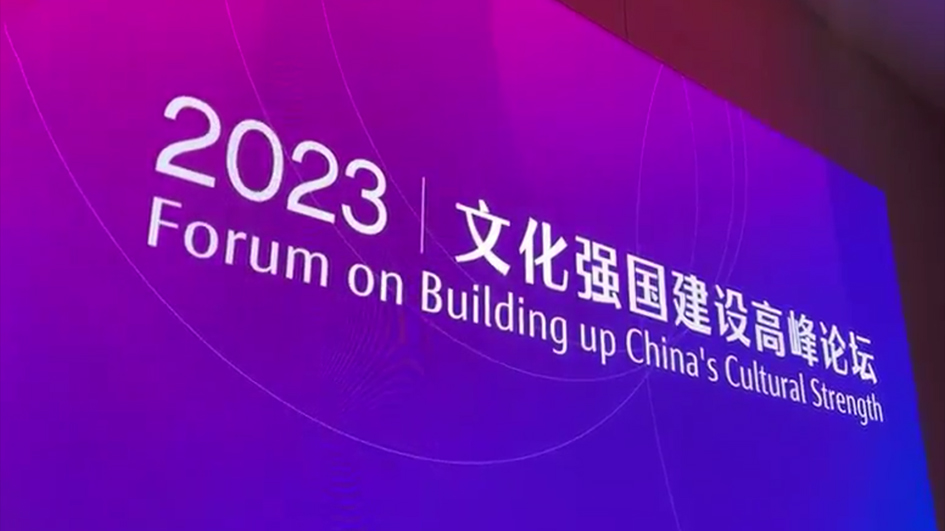 文化發展精彩紛呈 文明活力激揚澎湃——首屆文化強國建設高峰論壇分論壇綜述