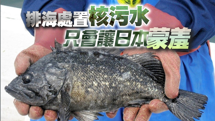 福島海魚體內銫超標180倍 外交部：日方為核污水「洗白」遭事實「打臉」