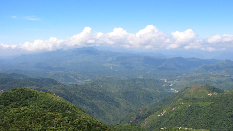 廣東21地市均出台綠美廣東生態建設實施方案或意見