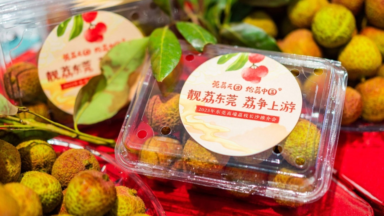 六月進入荔枝季  莞荔「觸電」便利全國民眾嘗鮮