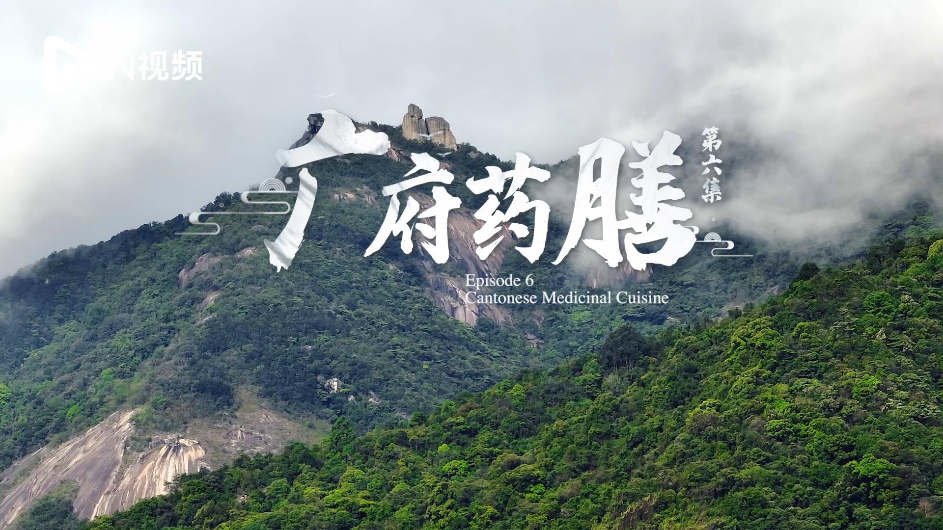 有片 | 《探寶覓蹤》第六集「廣府藥膳」：美食與養生兩不相負