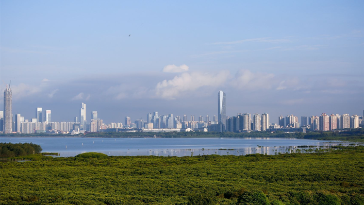 非洲國家駐華使節考察團訪深