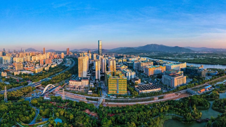 聚焦重點難點問題 深圳市民政局更好發揮社會組織服務經濟發展作用