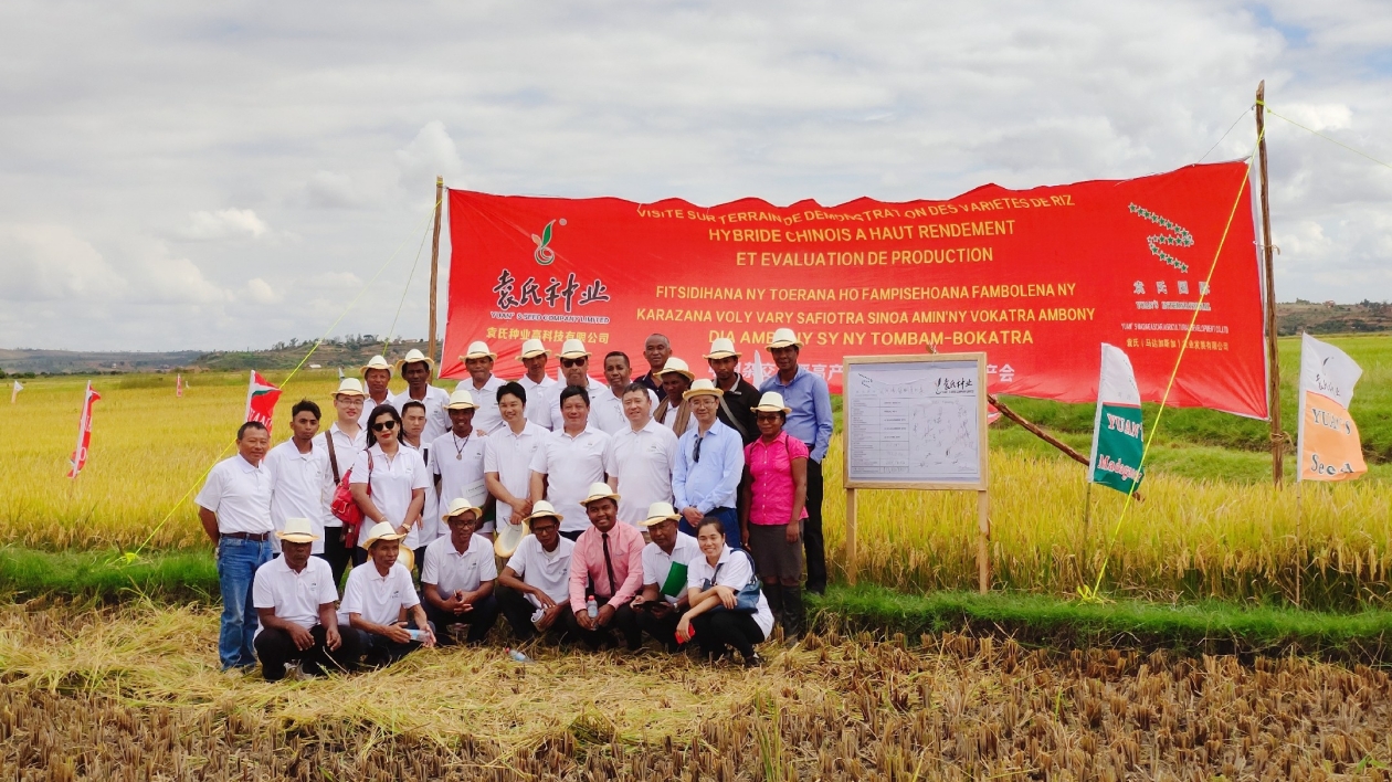 「湘」約非洲 | 袁氏種業：為非洲糧食安全提供新的解決方案