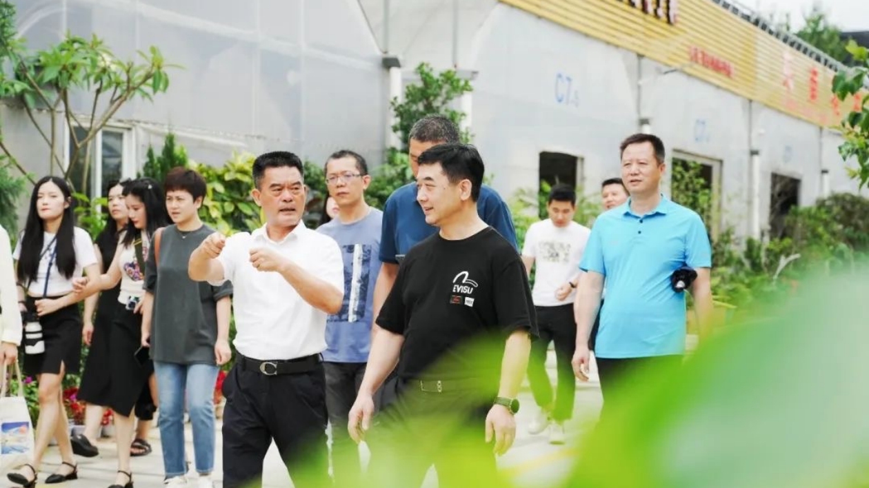 廈門新階人士走進集美後溪 為鄉村振興建言獻策