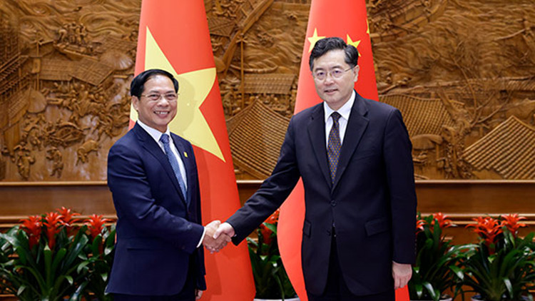 秦剛會見越南外長裴青山