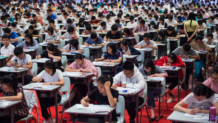 今日上線 廣東高考志願填報輔助系統來了