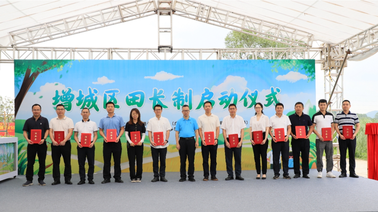 有片丨廣州唯一！增城區率先推行田長制