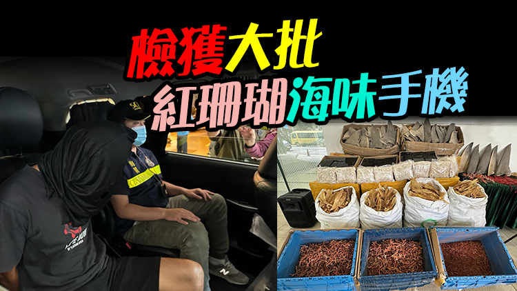 海關檢1400萬元走私貨物 拘貨車司機