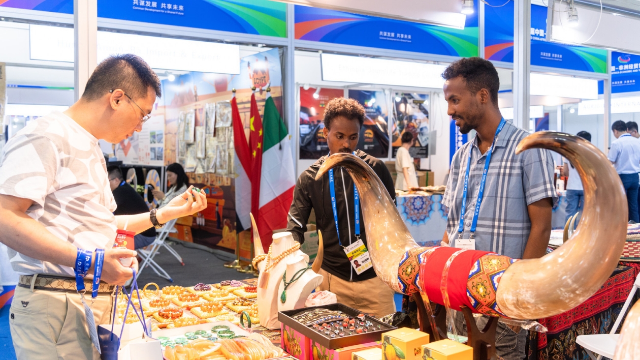 第三屆中非經貿博覽會在長沙開幕 開展首日人氣爆棚