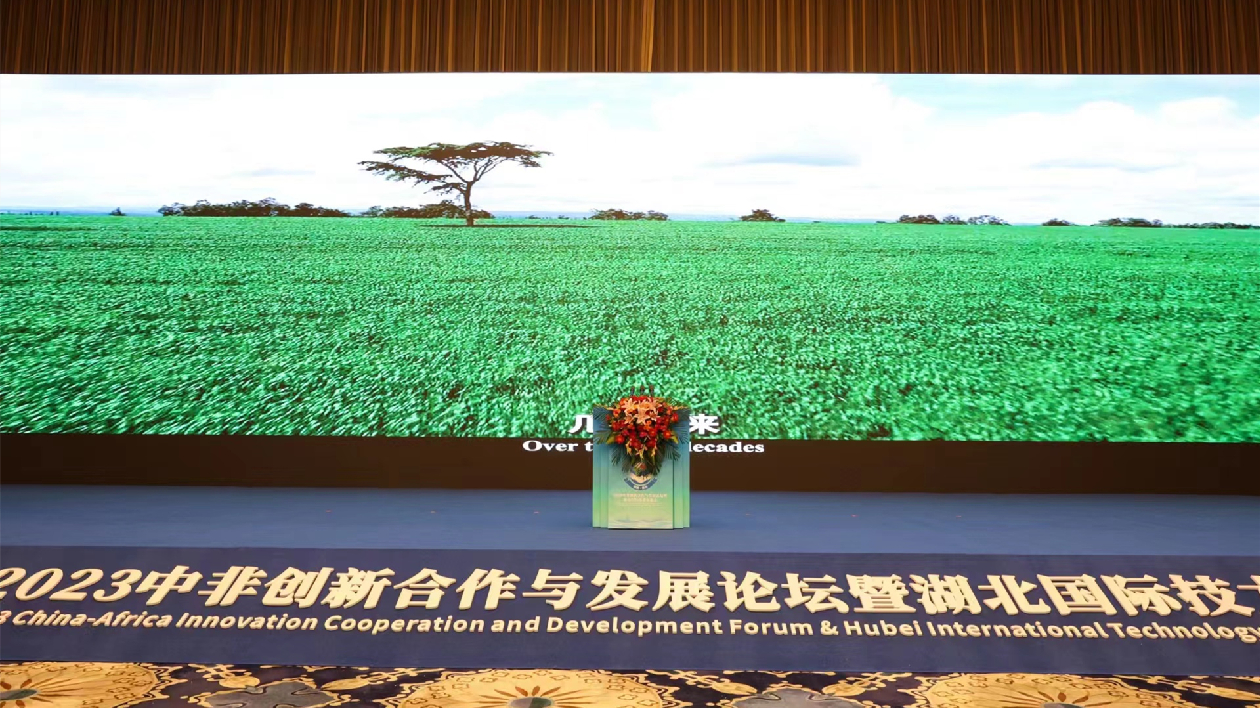 2023中非創新合作與發展論壇在鄂舉辦