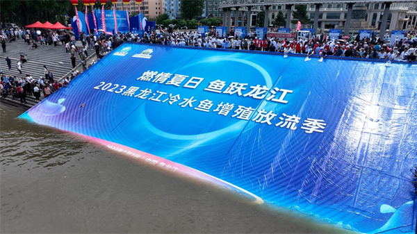 2023黑龍江冷水魚增殖放流季啟幕