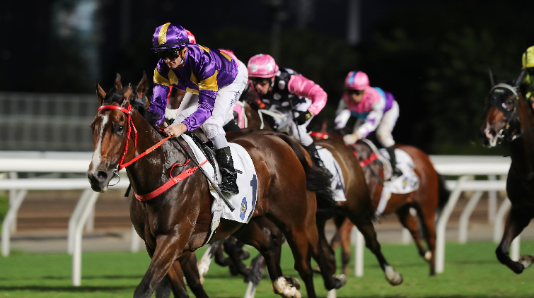 多圖 | 四喜臨門累計173W 潘頓打破莫雷拉單季頭馬紀錄