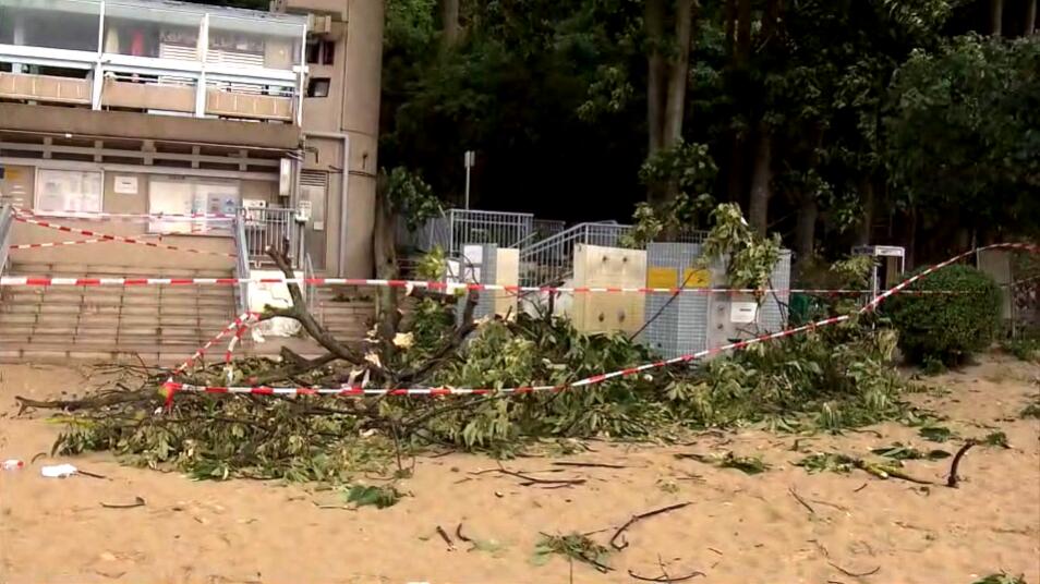 打風下南灣泳灘塌大樹 壓傷外籍女子頭部四肢