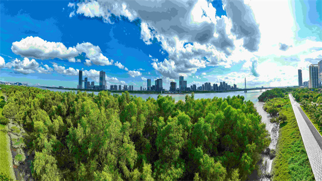 最高獎勵5000萬元 南沙正式印發「製造業十條」