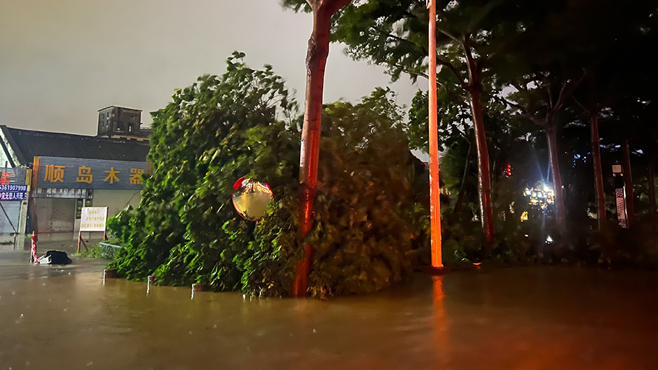 廣東將防風應急響應調整為Ⅲ級