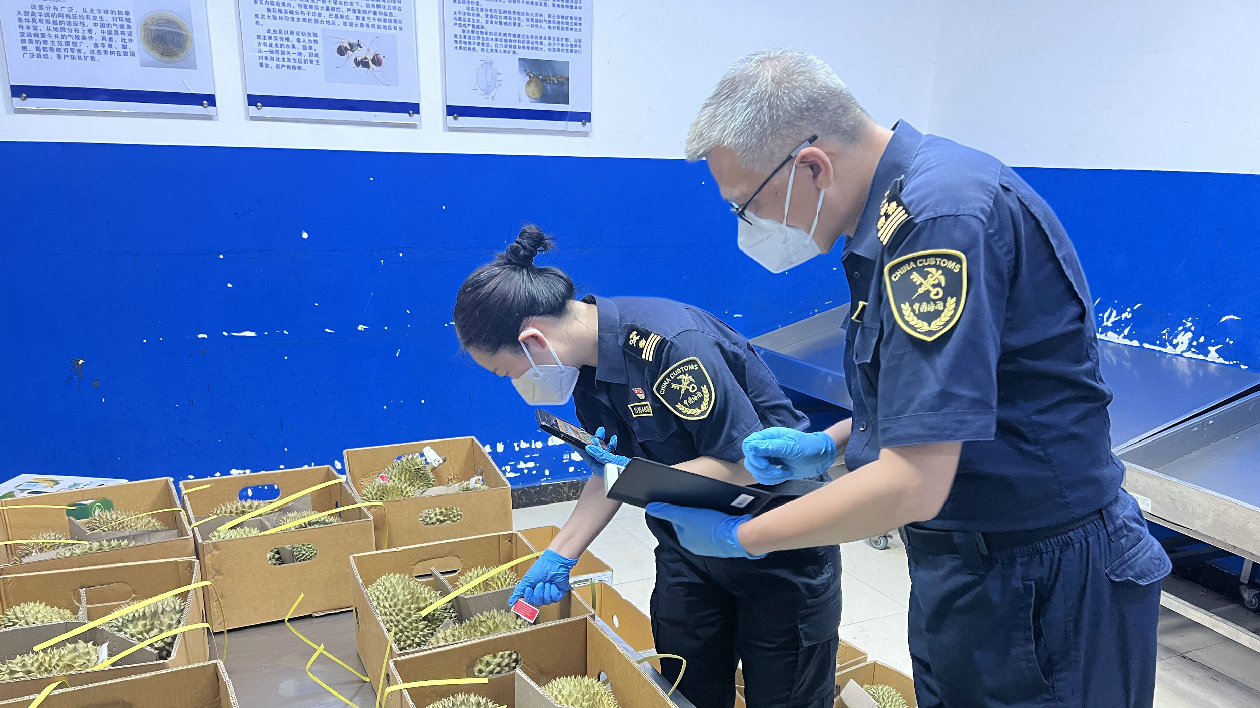 消費回暖拉動進口增長 廣州海關關區企業上半年進口消費品超540億