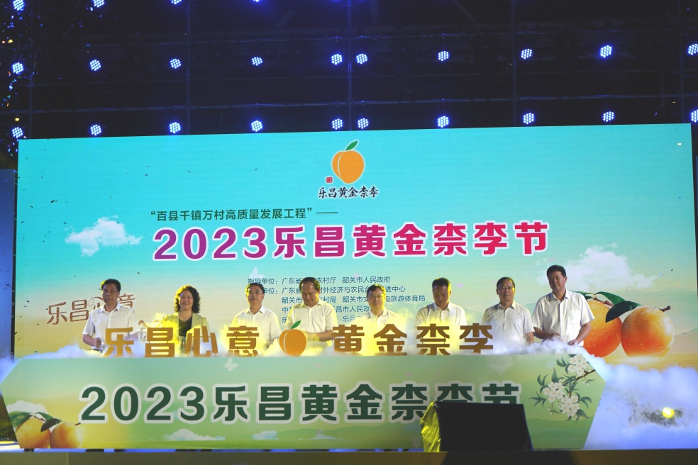 2023廣東樂昌黃金柰李節開幕 現場火熱認購百萬斤