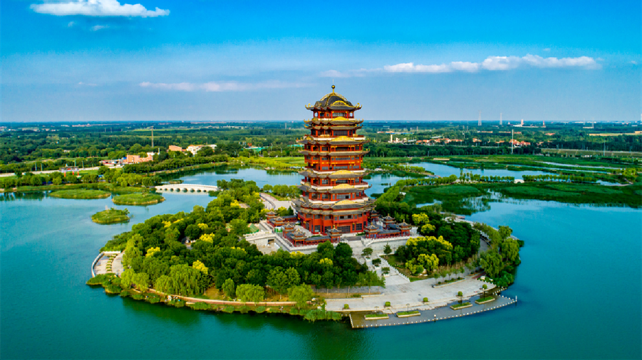 山東濱州：萬卷綠水千重花