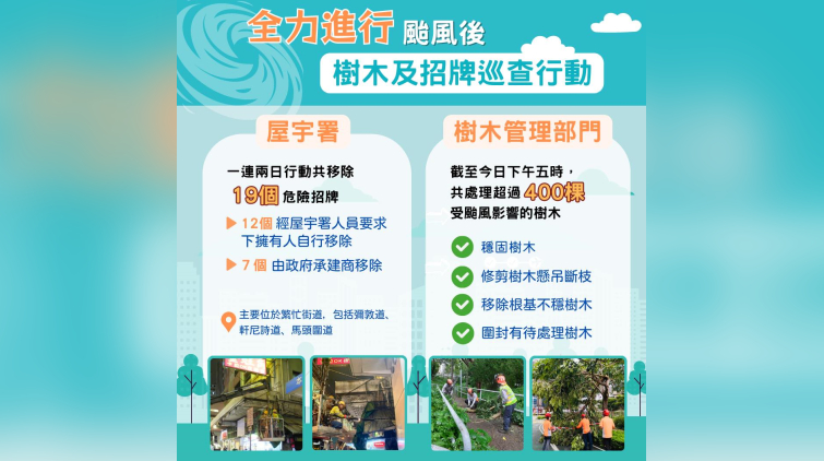 西區薄扶林道現塌樹 一米樹幹倒臥行人路