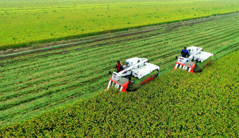 農村農業部：實施設施農業貸款貼息補助政策 創新金融服務