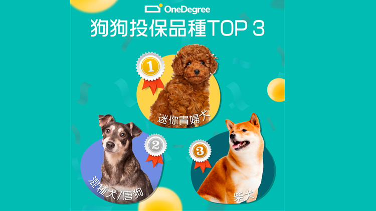 OneDegree上半年保費收入升近60%  擬下季夥保柏推醫保
