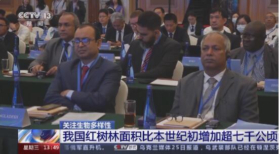 我國紅樹林面積增加了！全球只有200多隻的候鳥在這裏頻頻現身→