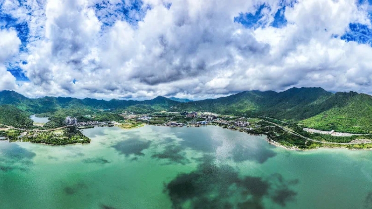 深圳大鵬上半年固定資產投資同比增長13.2%