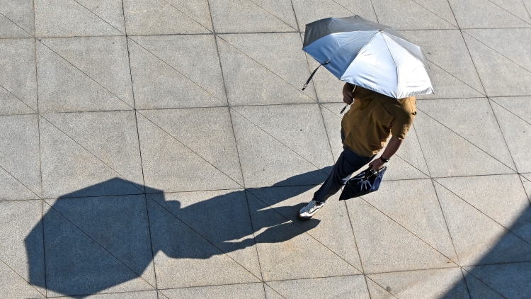 廣東將防風Ⅱ級應急響應調整為Ⅳ級