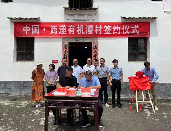 皖黟縣西遞鎮：「有機漫村」簽約   探索「雙贏之路」