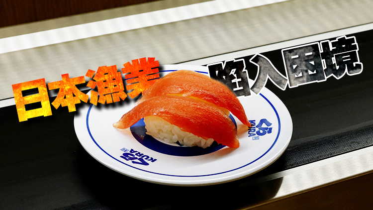 外媒：日本金槍魚價一夜暴跌24%