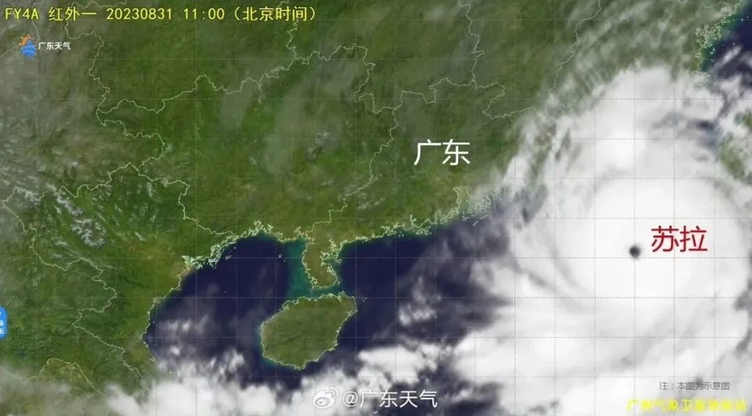 深圳口岸發布颱風期間口岸通行提示