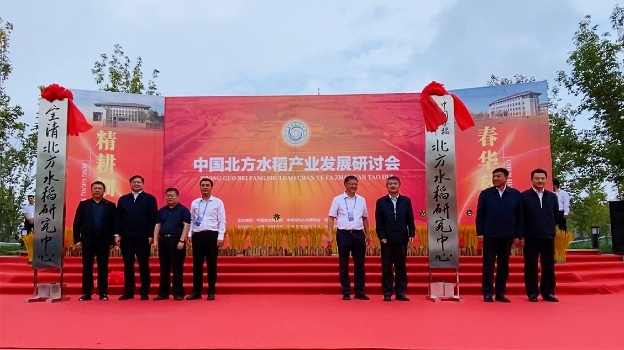 中國首個國家級北方水稻重大科研平台落戶黑龍江  推進水稻產業提質增效