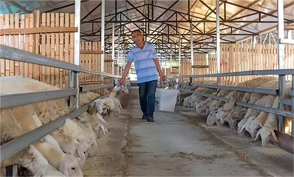 河南息縣白土店鄉：壯大養殖產業 助力鄉村振興