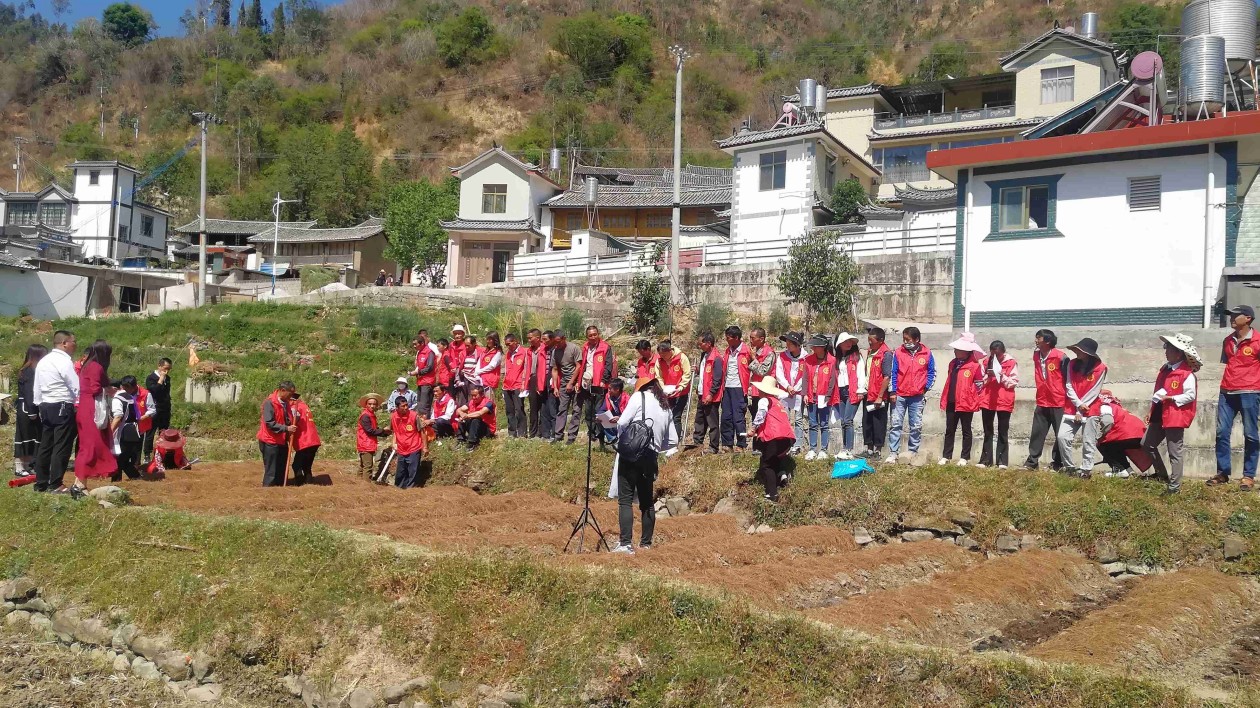 雲南鶴慶：職業培訓促發展  民族團結共致富