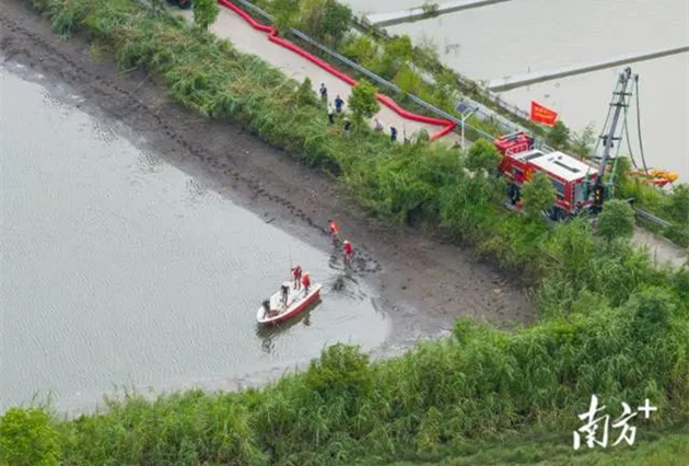 廣東茂名一養殖場多條鱷魚暴雨中出逃  已抓回36條